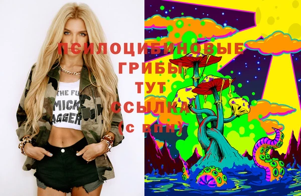 прущая мука Верхний Тагил